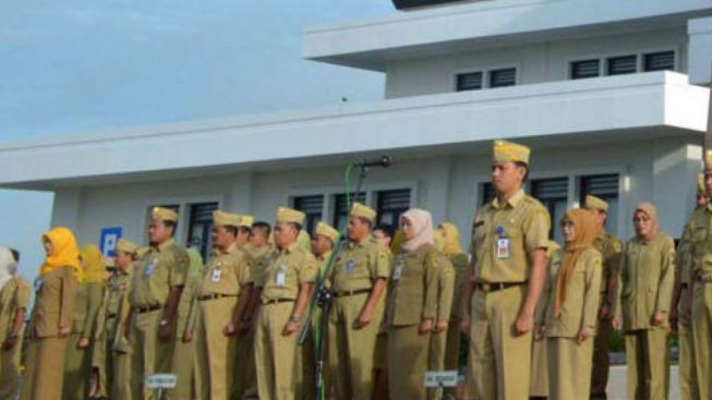 Pegawai Pemerintah Hanya PNS dan PPPK, Begini Pendataan Pegawai Non-ASN