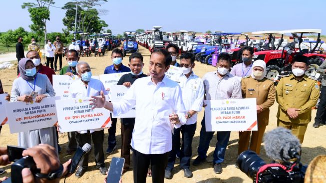 Jokowi Inginkan Food Estate Berbasis Mangga Tembus Pasar Internasional