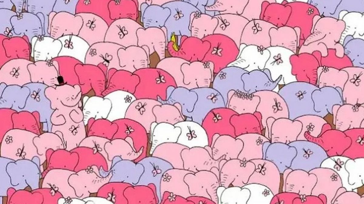 Tes IQ, cari dimana letak hati di antara banyak gajah [Escolaeducacao.com]