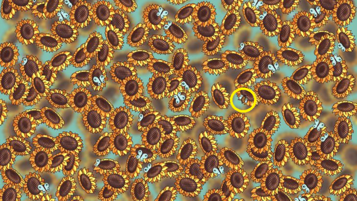 jawaban tes IQ letak lebah tersembunyi [Educadores Live]