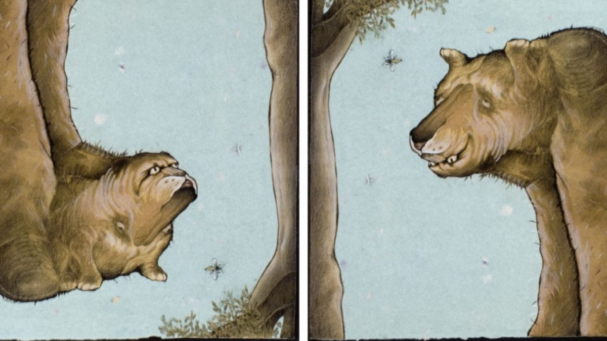 Jawaban Tes IQ [Educadoreslive]