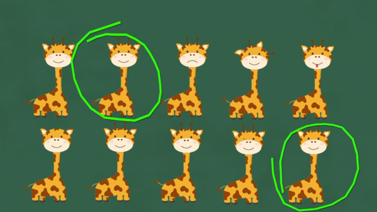 Ilustrasi jawaban tes IQ, menemukan 2 jerapah yang sama persis. [Educadores Live]