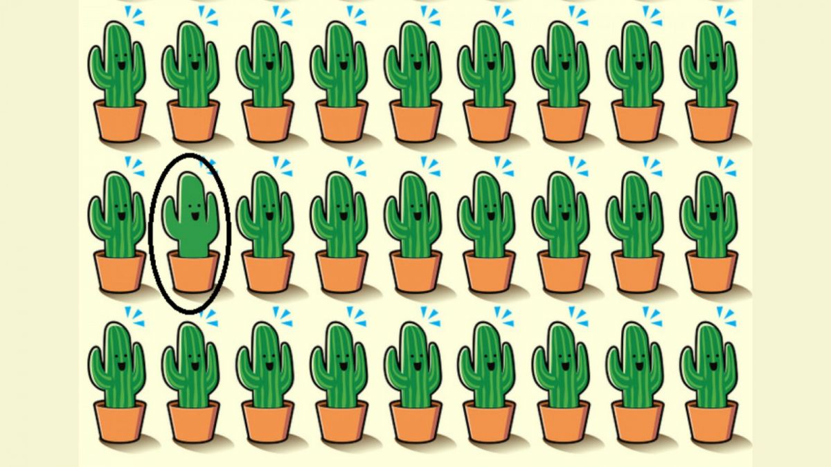 Ilustrasi jawaban tes IQ, menemukan kaktus yang berbeda dalam waktu 10 detik. [Educadores Live]