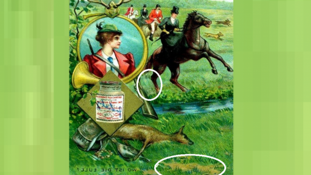 Ilustrasi jawaban gambar tes IQ, menemukan kelinci dan burung hantu. [Educadores Live]