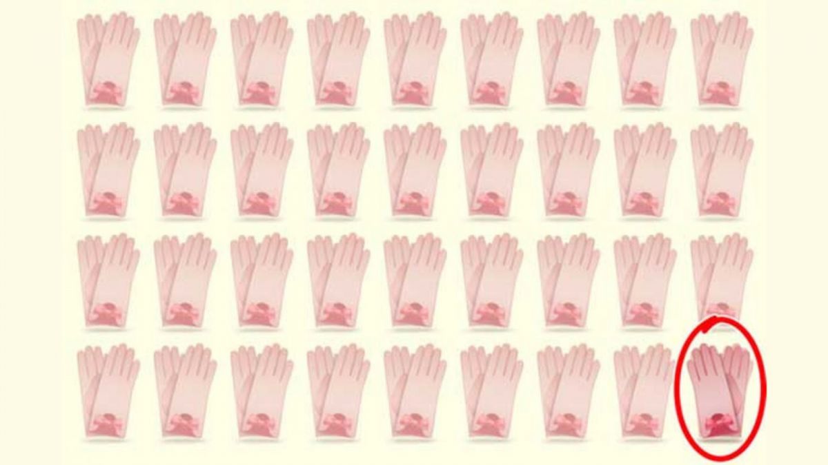 Ilustrasi jawaban gambar tes IQ, menemukan sarung tangan yang berbeda. [Educadores Live]