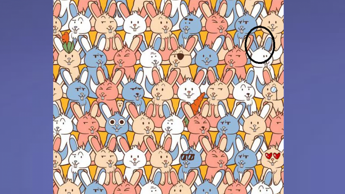 Ilustrasi jawaban gambar tes IQ, menemukan telur dalam waktu 15 detik. [Educadores Live]