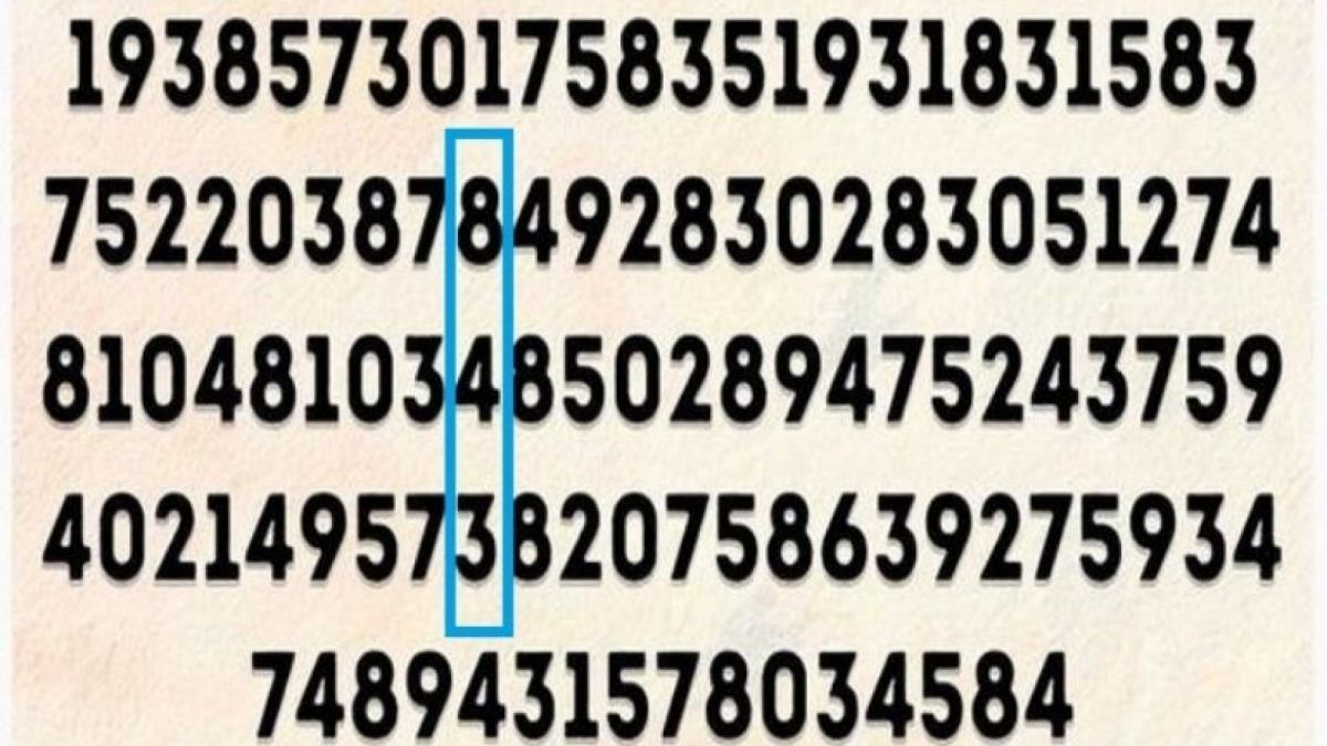 Jawaban Tes IQ [Educadoreslive]