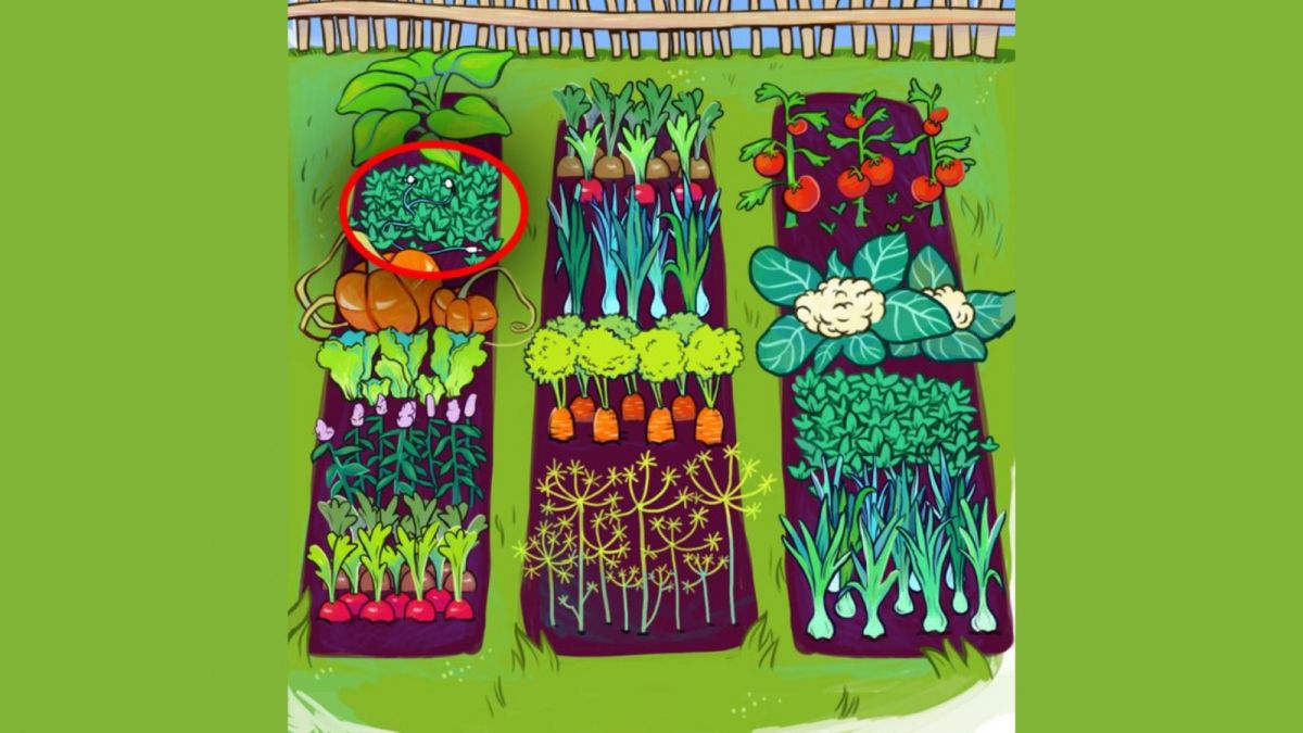 Ilustrasi gambar jawaban tes IQ, menemukan headset dalam waktu 15 detik. [Educadores Live]