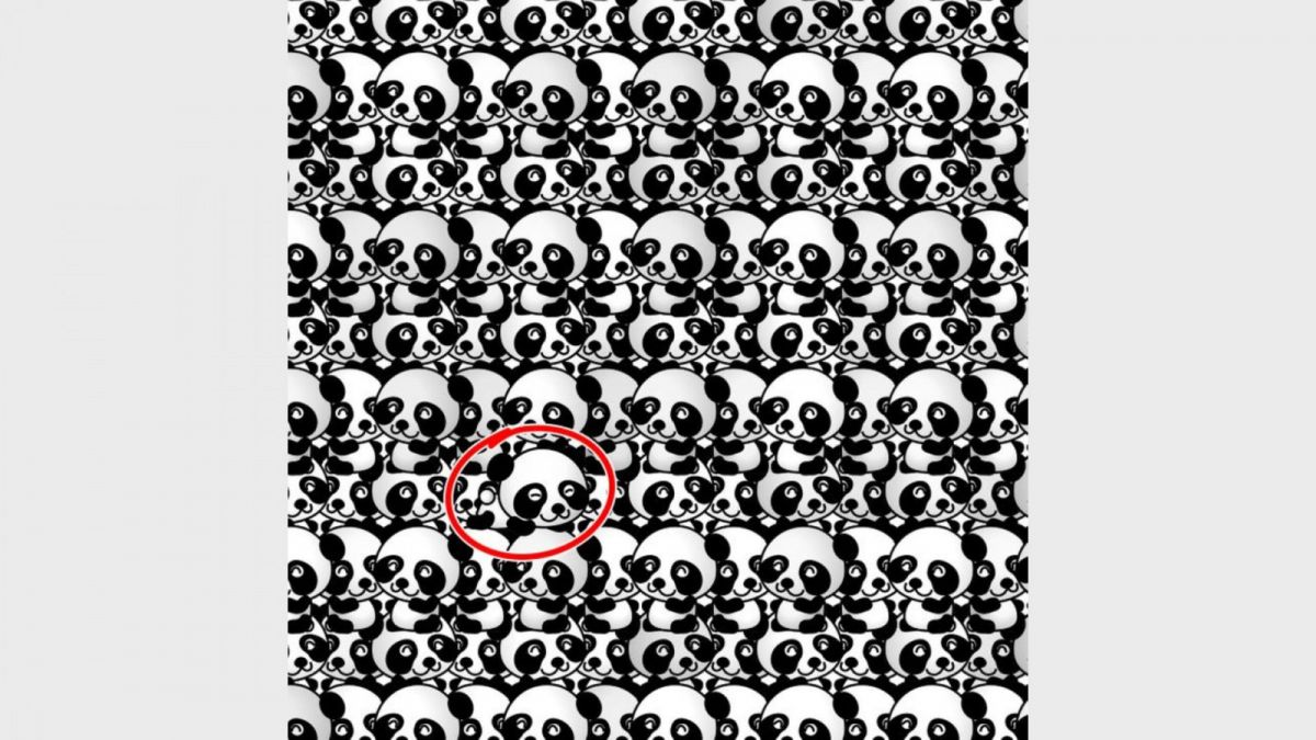 Ilustrasi jawaban gambar tes IQ, menemukan panda yang berbeda dalam waktu 20 detik. [Educadores Live]