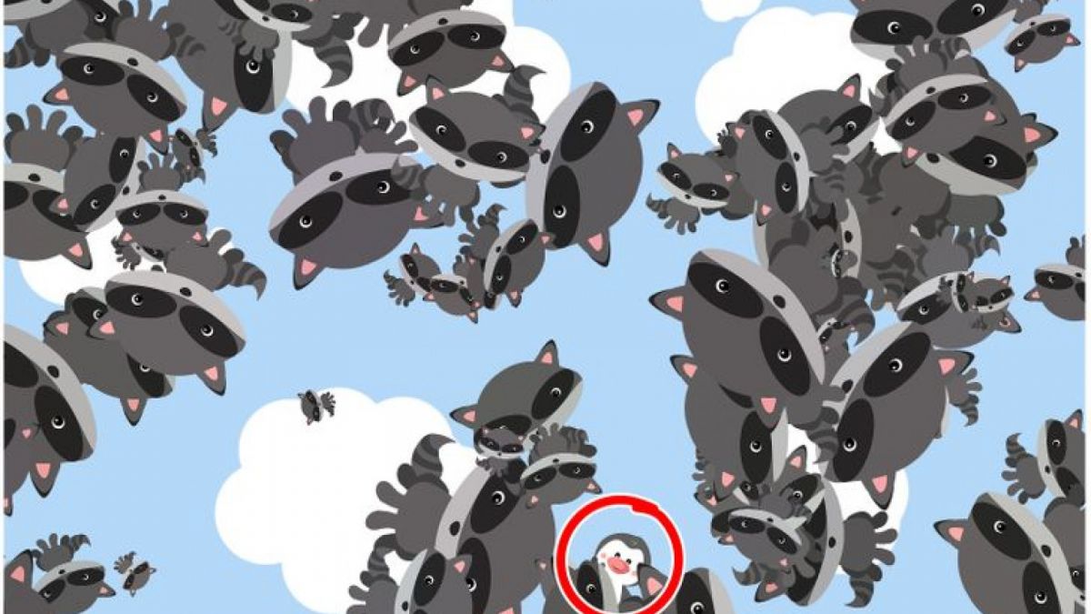 Jawaban Tes IQ [Educadoreslive]