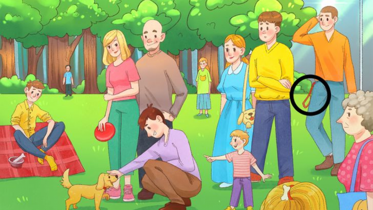 Ilustrasi gambar jawaban tes IQ, menemukan pemilik anjing. [Educadores Live]