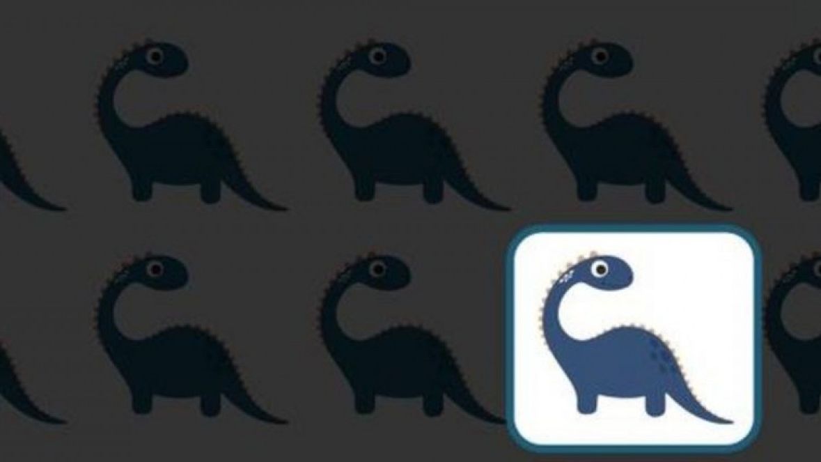 Jawaban Tes IQ [Educadoreslive]