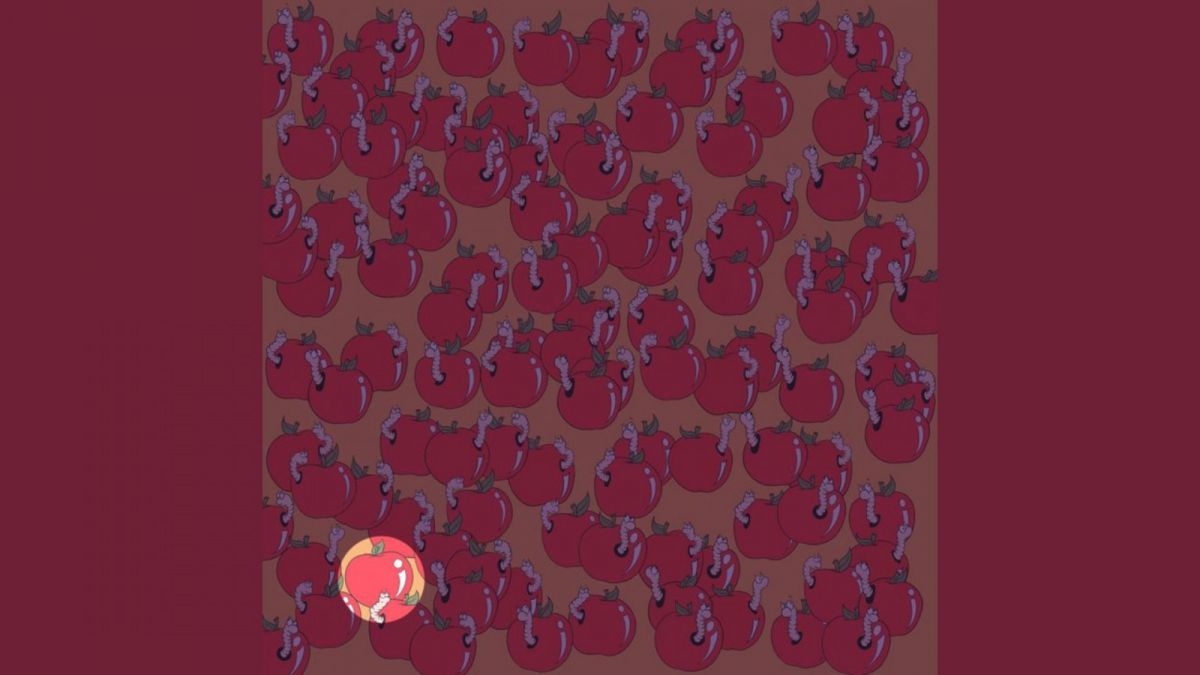 Ilustrasi gambar jawaban tes IQ, menemukan buah apel tanpa cacing didalamnya. [Educadores Live]