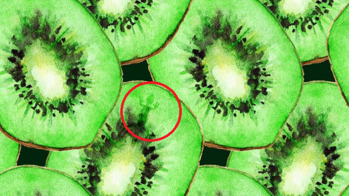 Ilustrasi gambar jawaban tes IQ, menemukan tokek yang bersembunyi di balik potongan buah kiwi. [Educadores Live]