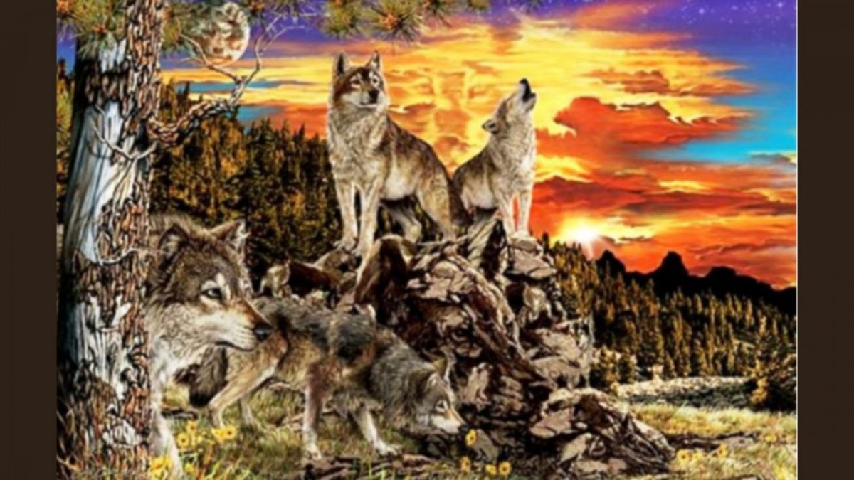 Ilustrasi gambar tes kepribadian, ungkap kekuatan dalam diri Anda melalui gambar ini. [Educadores Live]