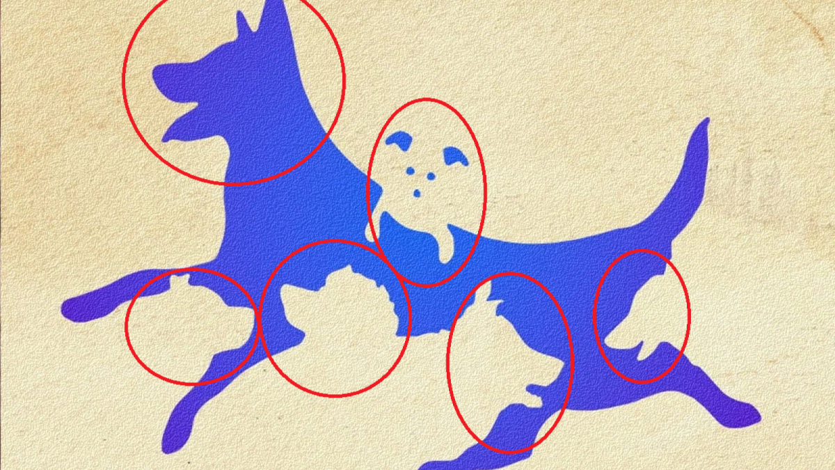 Jawaban Tes IQ [Educadoreslive]