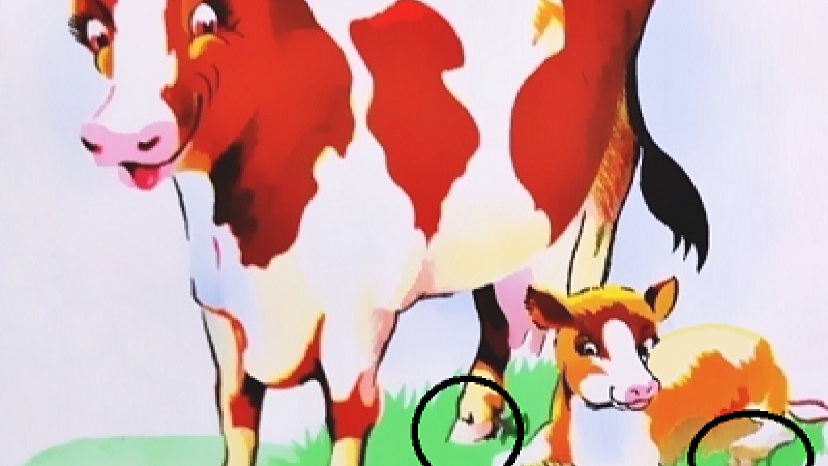 Tes IQ: Tentukan Kesalahan Pada Gambar! Cobalah Untuk Menemukannya