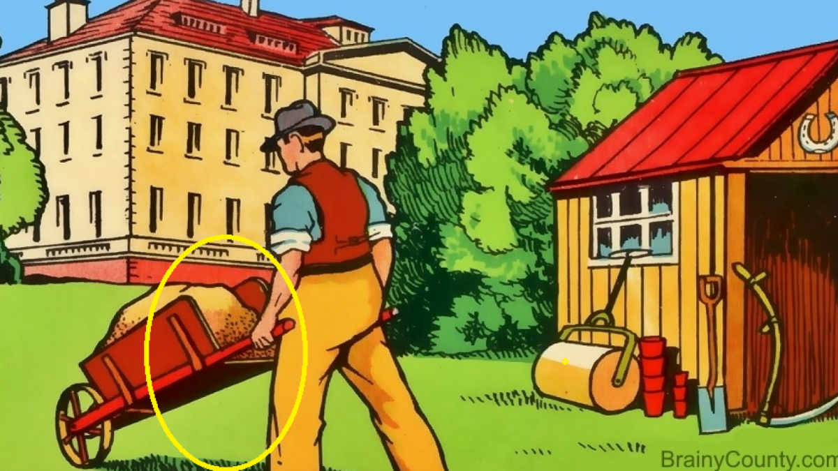 Jawaban Tes IQ [Educadoreslive]