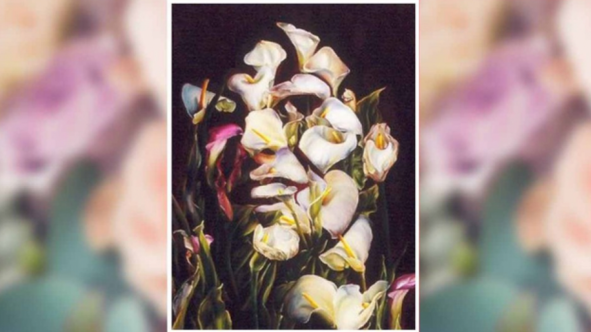 Ilustrasi gambar tes kepribadian, tebak apakah wajah atau bunga? ketahui apakah diri Anda orang yang sombong atau tidak. [Educadores Live]