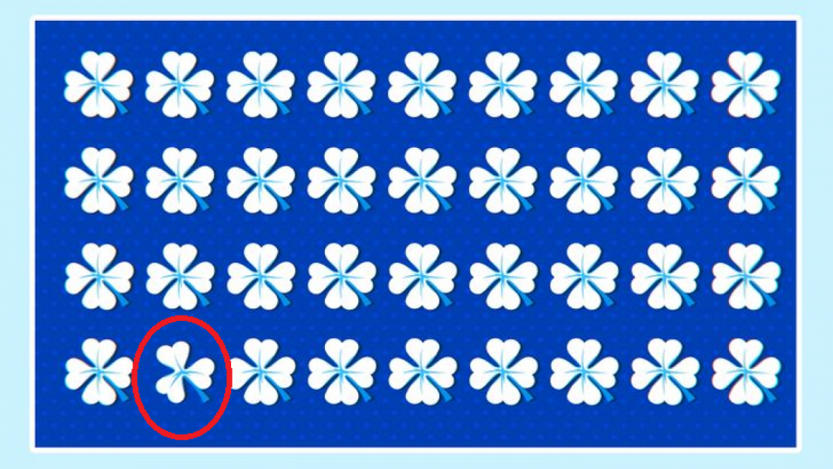 Jawaban Tes IQ [Educadoreslive]