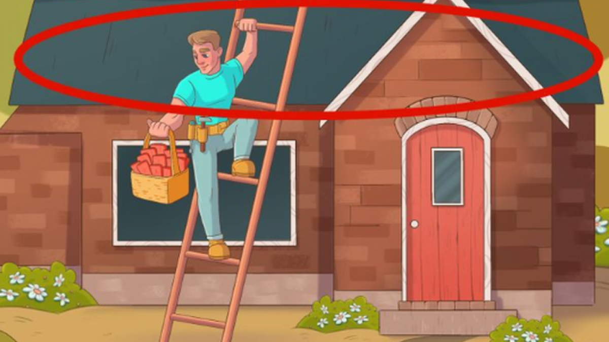 Jawaban Tes IQ [Educadoreslive]