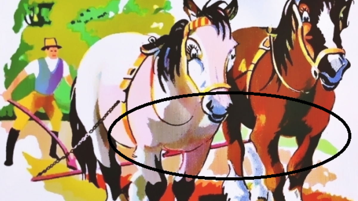 Jawaban Tes IQ [Educadoreslive]