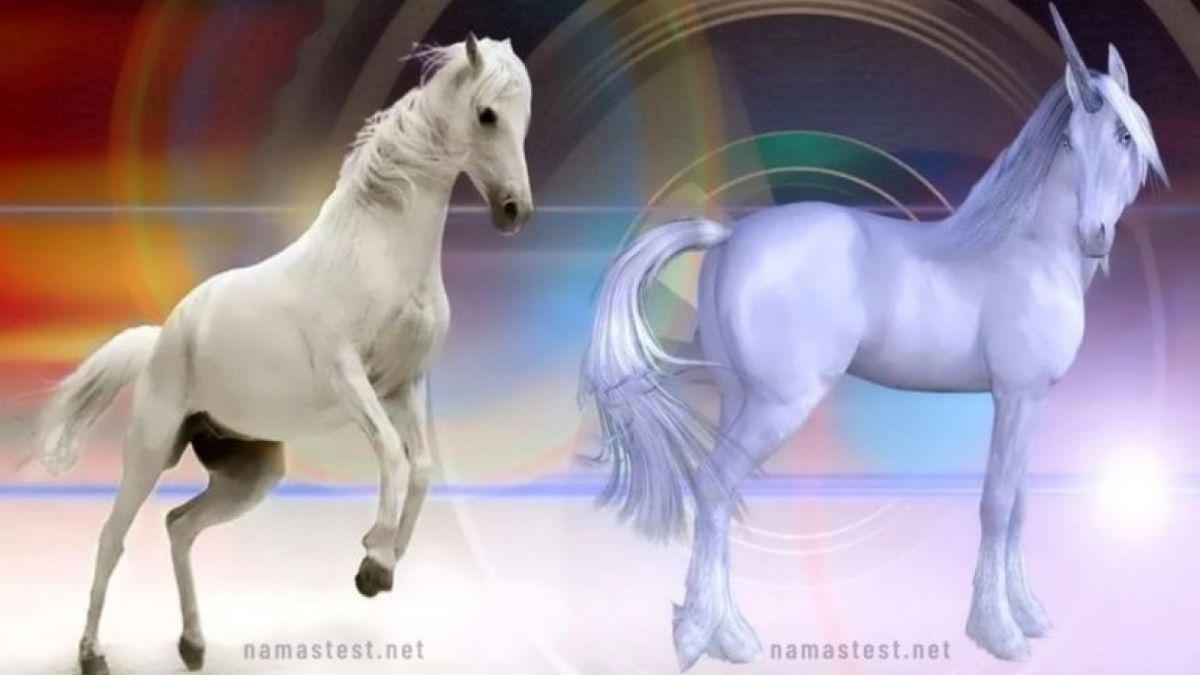 Ilustrasi tes psikologi, ketahui apakah pribadi Anda lebih cenderung optimis atau pesimis. [Namastest]