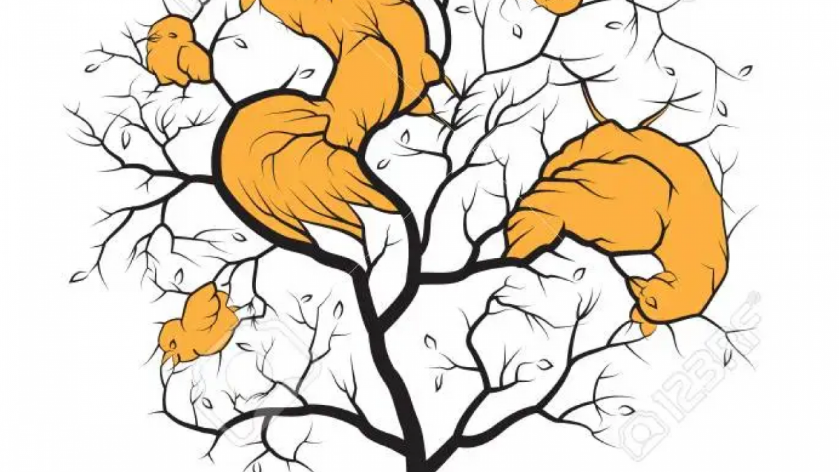 Jawaban tes IQ [Educadoreslive]