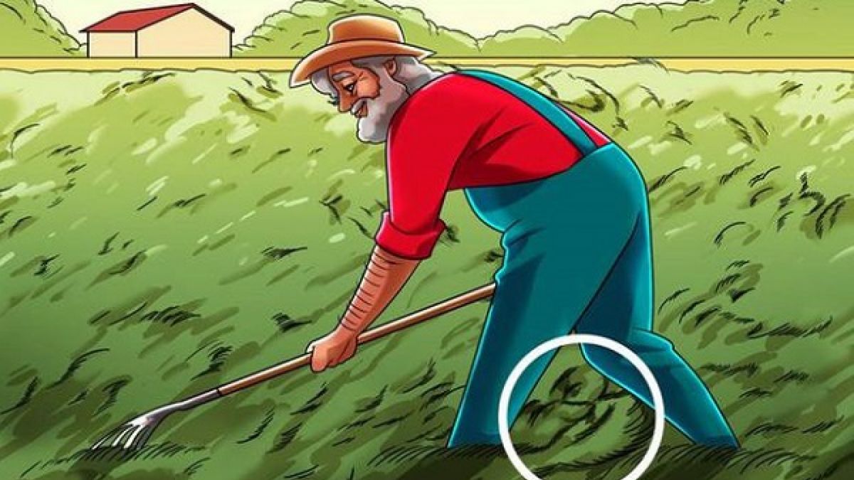 Jawaban tes IQ, wajah yang tersembunyi pada gambar berada di dalam lingkaran putih [Escola Educacao]