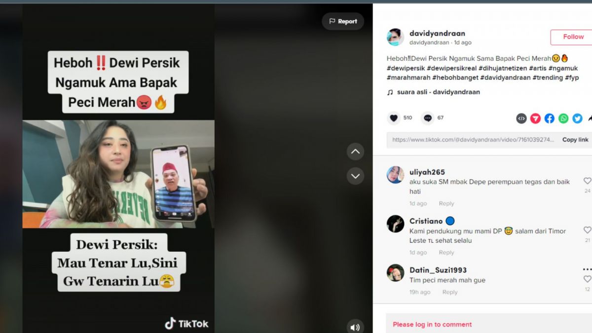 Tangkapan layar Dewi Perssik yang memperlihatkan lagi haters yang sedang menghujatnya hingga viral di kanal TikTok [TikTok/davidyandraan]