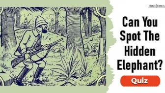 Tes IQ: Temukan Seekor Gajah, jika Anda Mengaku Cerdas