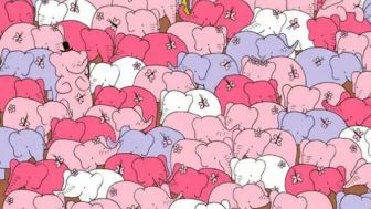 Tes IQ: Anda Hanya Punya Waktu 20 Menit untuk Temukan Hati Tersembunyi di Antara Gajah