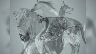 Tes Psikologi: Hewan Apa yang Anda Visualisasikan, Kepribadian Anda Dapat Dinyatakan