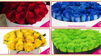Tes Kepribadian: Tentukan Bunga Favoritmu!  Warna Spritual Apakah Dalam Diri Anda?