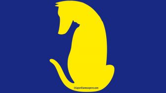 Tes Kepribadian: Kucing atau Anjing? Temukan Rahasia yang Anda Sembunyikan