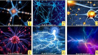 Tes Kepribadian: Tentukan Kepribadian Anda, Caritahu Menurut Tingkat Energi Berikut