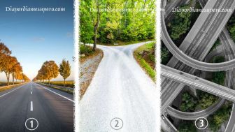 Tes Kepribadian: Ungkap Bagaimana Cara Berfikir Anda, Ketahui Melalui Jenis Jalan Beriktu