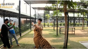 Diguncang Isu Hamili Mantan Pacar, Alshad Ahmad Tetap Percaya Diri Bikin Konten dengan Harimau, Tiara Andini Hanya Bisa Diam