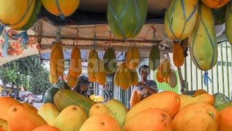 Kaya Antioksidan, Ini Manfaat Timun Suri bagi Kesehatan yang Banyak Dicari Saat Bulan Ramadhan