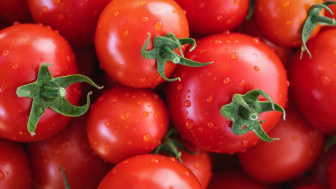 Manfaat Buah Tomat Bagi Kesehatan, Salah Satunya Mempertajam Penglihatan