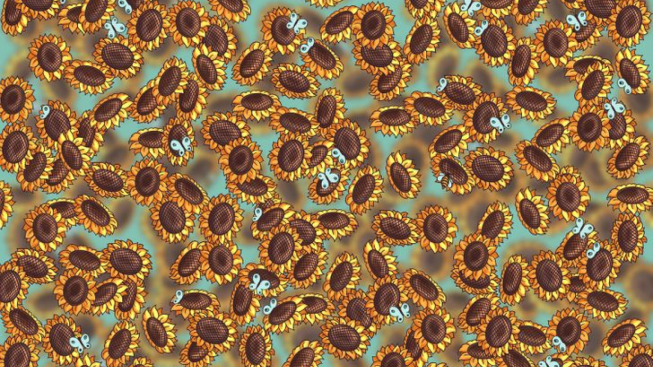 Tes IQ: Seberapa Jeniusnya Anda untuk Bisa Menemukan Lebah Tersembunyi