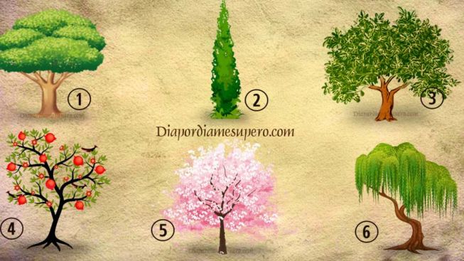 Tes Kepribadian: Jenis Pohon Manakah yang Menjadi Pilihan Anda, Ketahui Rahasia Dibaliknya